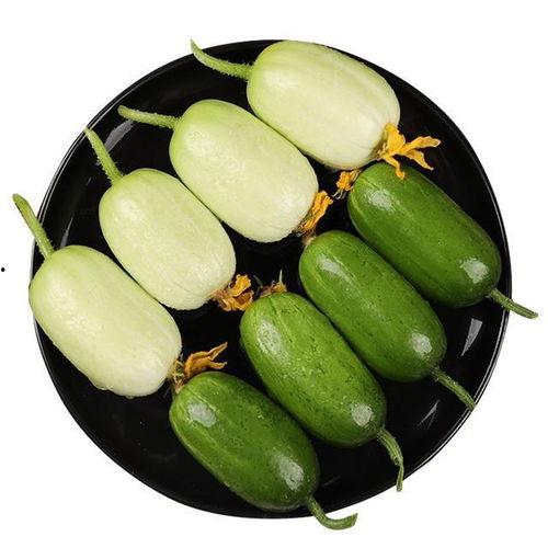 小瓜如何晒干吃视频,轻松学会美味晒干小瓜制作