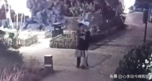 汝南吃瓜事件视频完整版,一场引发全网热议的乡村冲突真相揭秘