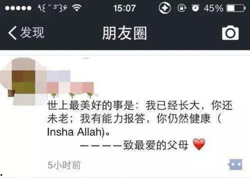 吃瓜群众也能中枪吗视频,揭秘网络视频背后的惊人真相