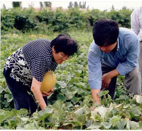 农村小芳吃瓜视频大全,吃瓜视频大全趣味盘点