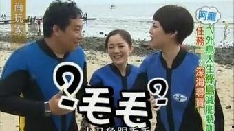 阿庞和阿瓜吃辣条视频在线观看,阿庞与阿瓜的味蕾冒险之旅