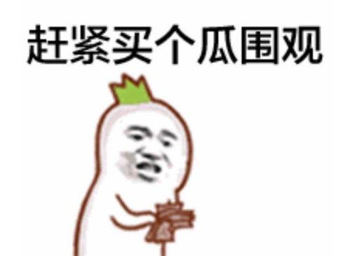 招黑吃瓜群众视频大全集,揭秘热门视频背后的真相与笑料