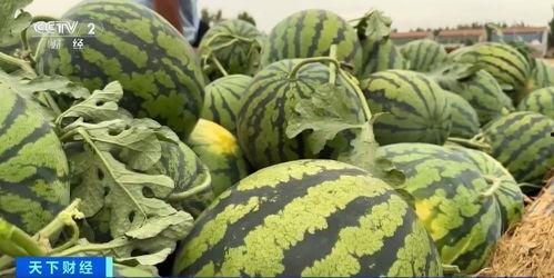 全国吃瓜大队录屏视频