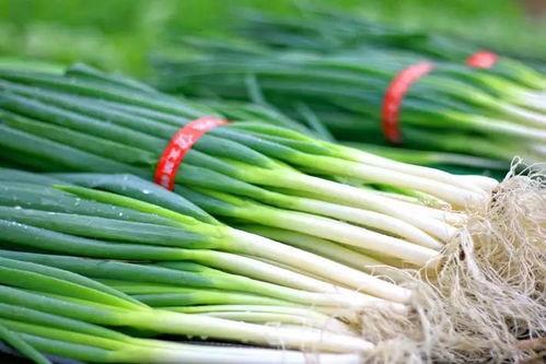 吃瓠瓜的十大害处视频,警惕健康风险