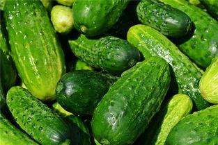 梦见别人吃瓜视频,揭秘梦中吃瓜视频的神秘寓意