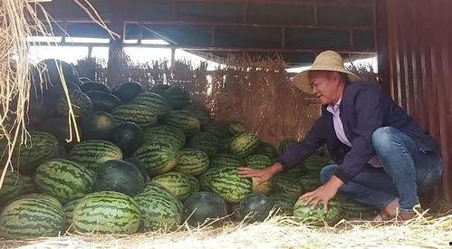 昆明某网红吃瓜视频