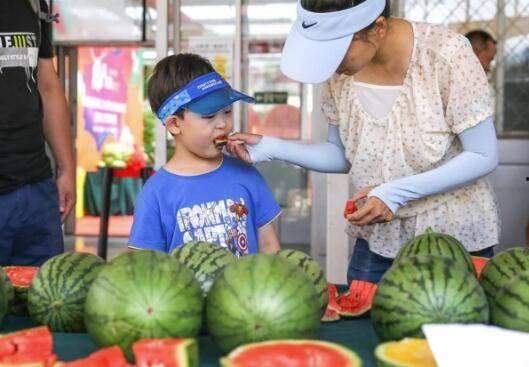 甜福瓜怎么吃最好吃视频,视频教你如何吃出最佳口感