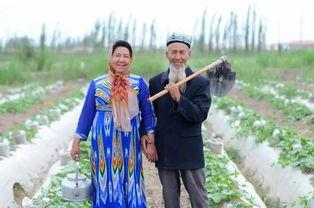 新疆舞吃蜜瓜的视频