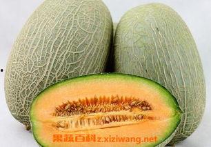 你吃哈密瓜吗歌曲视频在线观看