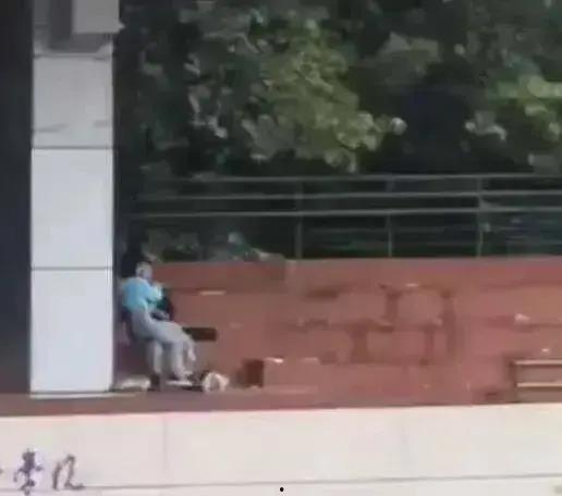 各大学校的吃瓜事件视频