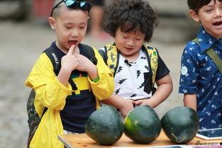 萌娃看着爸爸吃瓜视频,萌态十足引网友热议