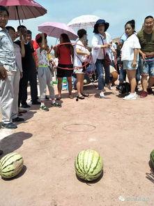 霍邱吃瓜比赛事件视频,一场别开生面的乡村趣味竞技