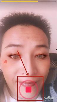 南瓜视频抖音吃瓜,带你领略网络热点风云