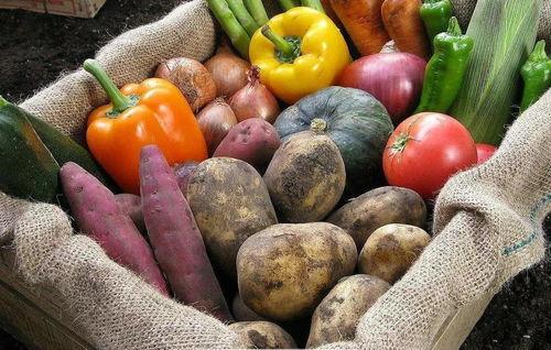 斯美尔吃瓜原视频,一场视觉盛宴的幕后揭秘