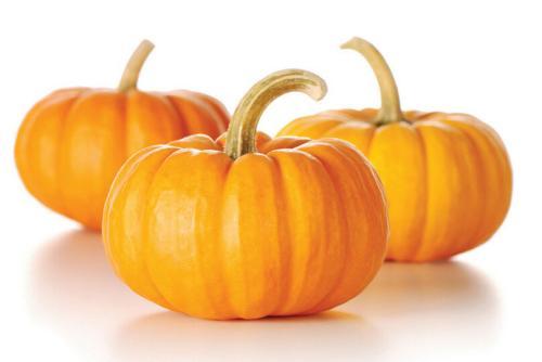 吃瓜茄子视频,揭秘茄子界的“网红”美食传奇