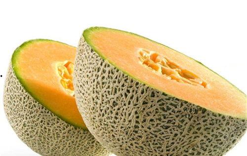 猪活了哈密瓜可以吃吗视频,揭秘神奇植物与动物共生现象